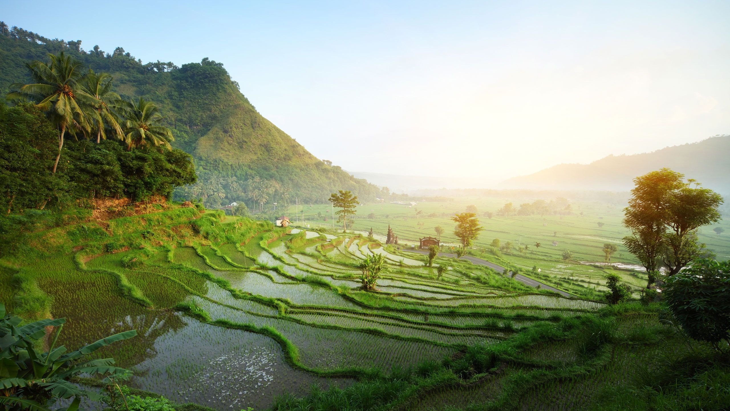 Bali Rice Terraces