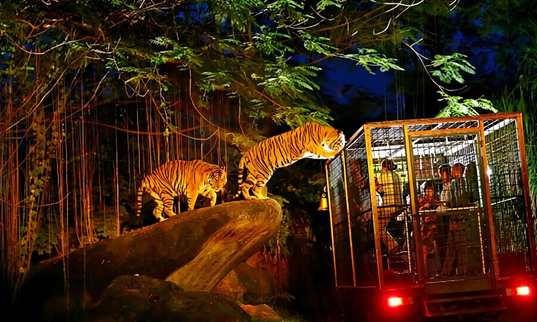 Singapore Zoo